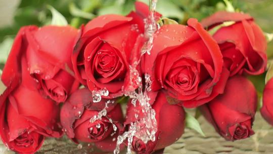水洒落在红玫瑰花束