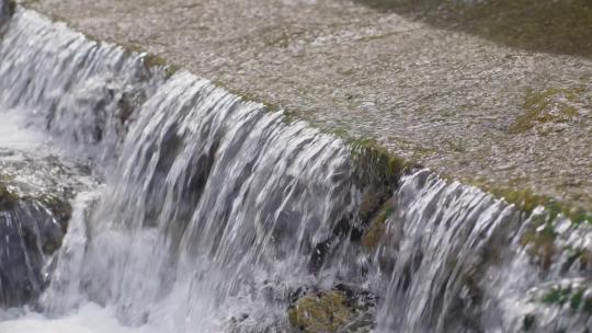 水流原始森林水资源绿色生命河流