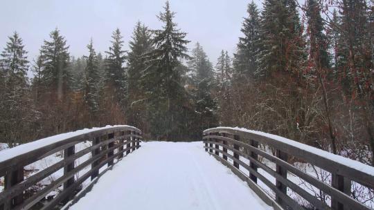 3974_森林中白雪覆盖的桥
