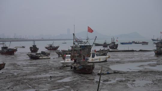 连云港西岛渔船视频素材模板下载