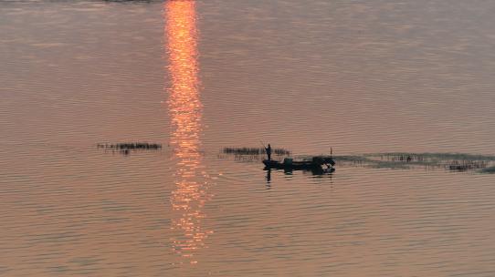 航拍清晨太湖 飞鸟 渔民 划船