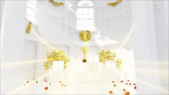 荣誉证书奖杯奖牌相框宣传展示AE模版AE视频素材教程下载