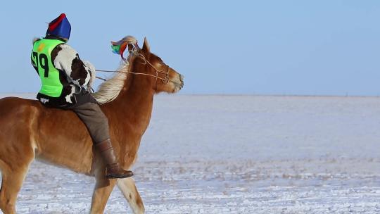 悠然入场的蒙古骑手们即将成为竞技对手视频素材模板下载