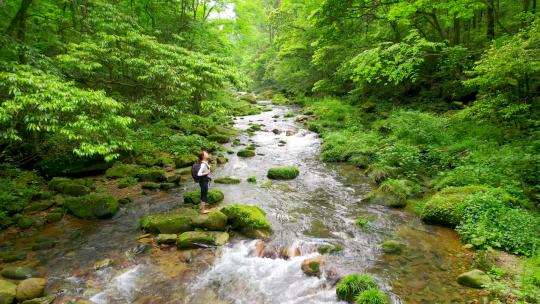 唯美自然森林溪流-人与自然-美女户外瑜珈