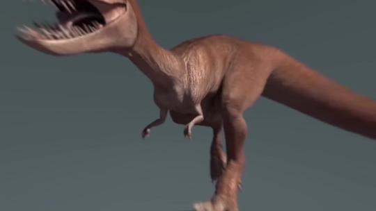 28小型恐龙3D跑步视频素材模板下载