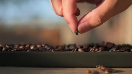 特写精挑细选咖啡豆视频素材模板下载