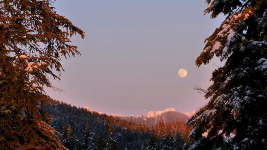 66_天空中的月亮是白雪覆盖的森林