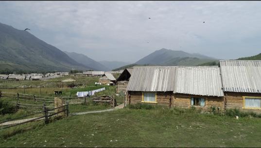 新疆/村庄/旅游/鸟群/山脉/自然景观航拍