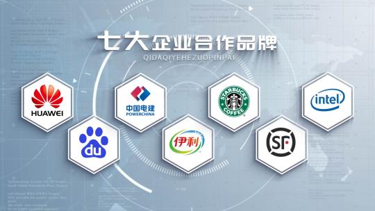 明亮大气企业logo分类展示高清AE视频素材下载