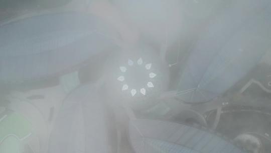雾天航拍上海滴水湖洲际酒店4k