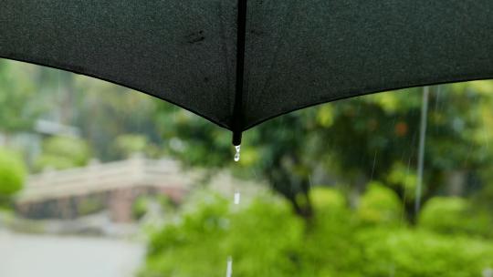 唯美下雨天树叶雨伞4k实拍视频素材