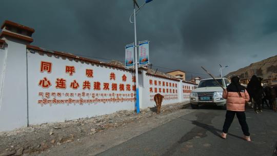 西藏旅游风光219国道车窗外标语牛群