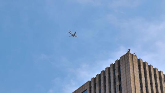 一架飞机在楼顶飞过