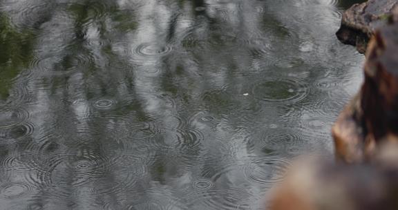【正版素材】自然雨景水滴唯美水波纹