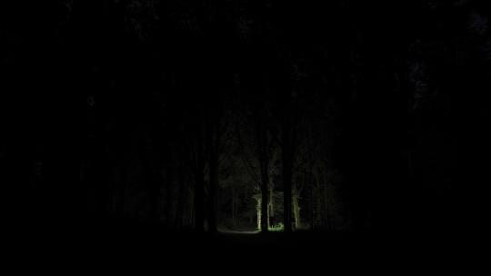 夜晚惊悚的树林