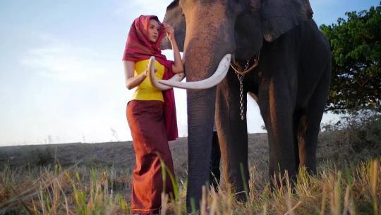 与大象站在一起的女人