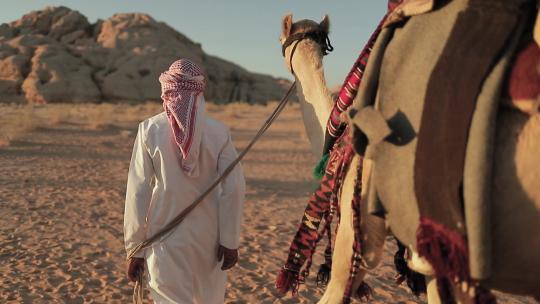 阿拉伯人牵着骆驼穿越沙漠