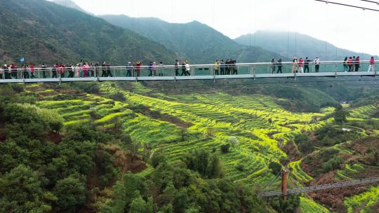 婺源篁岭花海梯田垒心桥玻璃桥风光