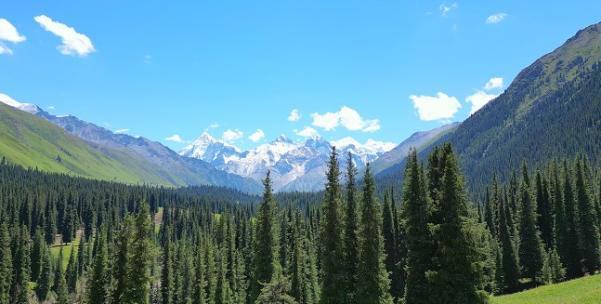 夏塔雪山古道冰川森林公园蓝天白云清晨雪景