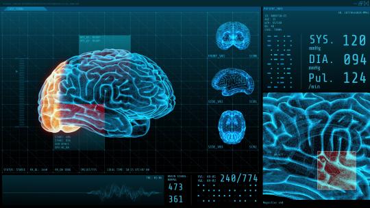 计算机屏幕显示的 3D大脑神经和生命体征