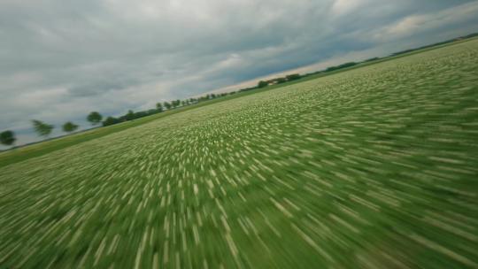 FPV航拍绿色农田风力发电机荞麦田土豆种植