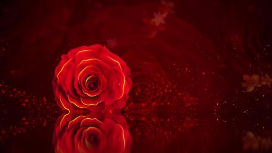 大气舞台花朵背景4K红