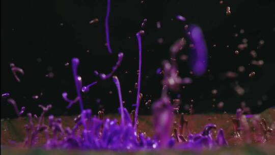 紫色液体的飞溅