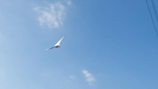 童年扔纸飞机剪影放飞梦想希望的翅膀远航