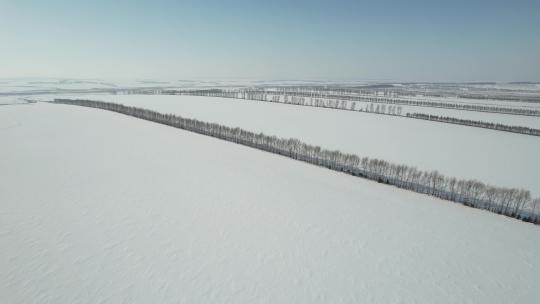 黑龙江五大连池平原雪原自然风光视频素材模板下载