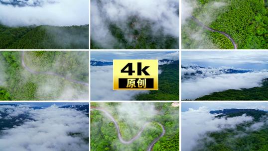 云雾森林云海树林航拍森林雨天森林俯高清在线视频素材下载