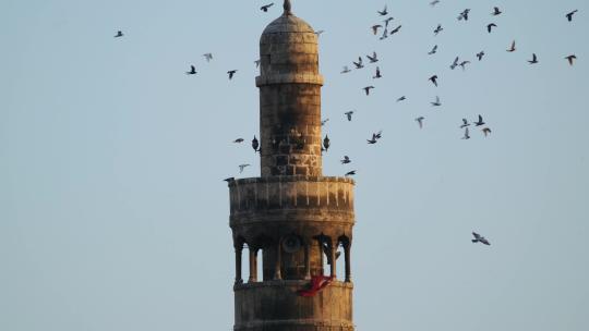 鸟儿在清真寺尖塔周围飞翔