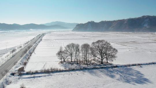 4k航拍雪后的山林