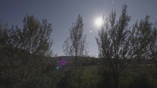 夏天行驶的车窗外高铁窗外火车窗外风景