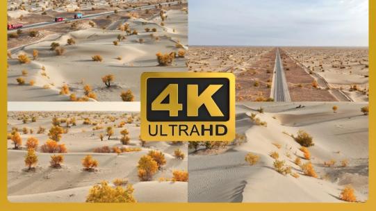 4k航拍新疆塔克拉玛干沙漠公路胡杨林高清在线视频素材下载