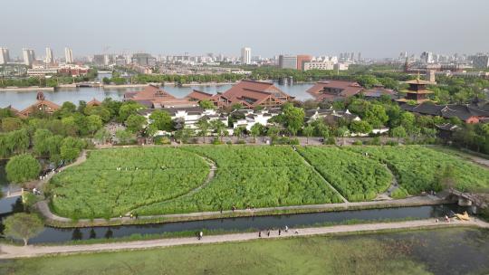 上海松江广富林航拍