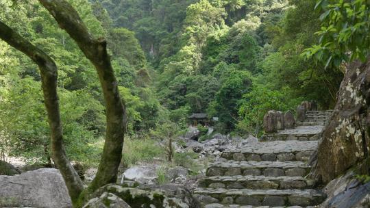 浙江温州楠溪江自然风景，龙湾潭