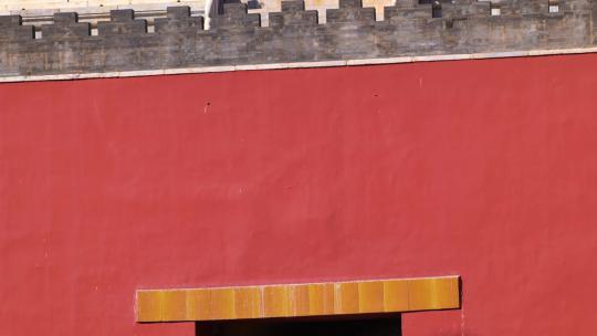 鸽子飞翔的阴影投射在故宫红色的城墙上