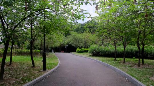 江南公园绿荫休闲步道