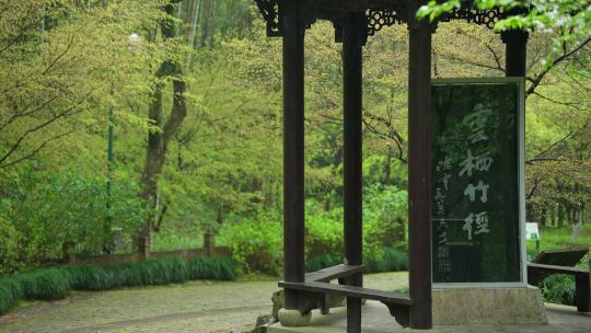 杭州云栖竹径春季清明节雨天古建筑自然唯美