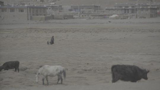 藏区牧场上牧民带着孩子向村庄走去