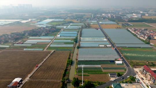 农业大棚航拍