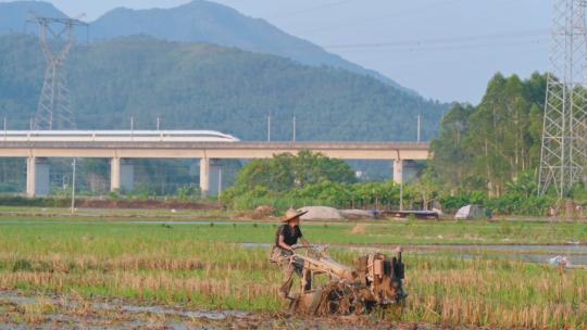 夏种 农忙 稻田 插秧 农民 田园风光 日落