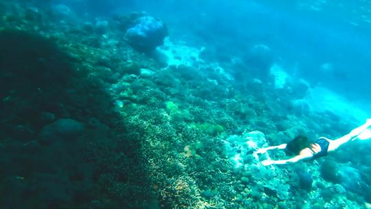 潜水 潜海 游泳 深海 鱼群 海岛旅游视频素材模板下载