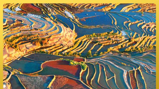 4k航拍云南元阳梯田彩色梯田