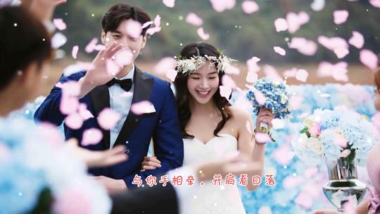 韩式婚礼电子相册MVAE视频素材教程下载