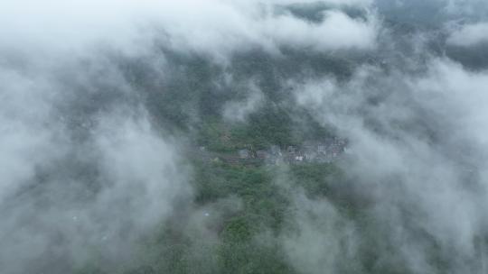 大自然森林茶园村庄云雾大山云海