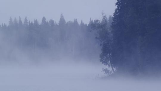 湖边清晨薄雾朦胧冷清合集