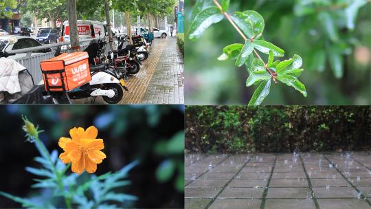 原声夏天刮风大雨街道小区树叶雨停高清在线视频素材下载