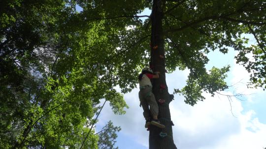 小女孩娴熟的爬上了一棵大树