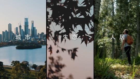 地产高端创意短视频